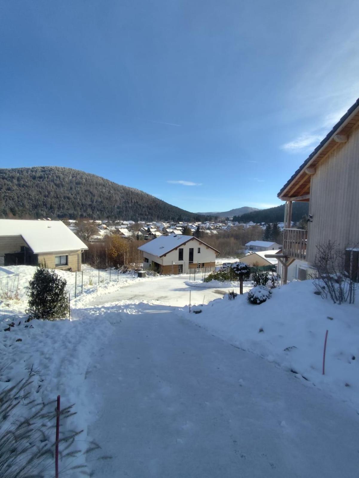 Chalet Du Nid D'Amour ジェラールメ エクステリア 写真